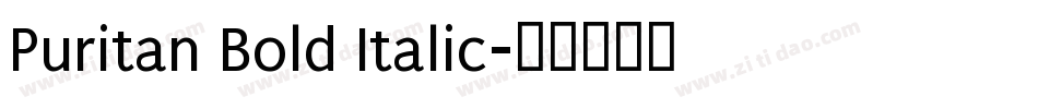 Puritan Bold Italic字体转换